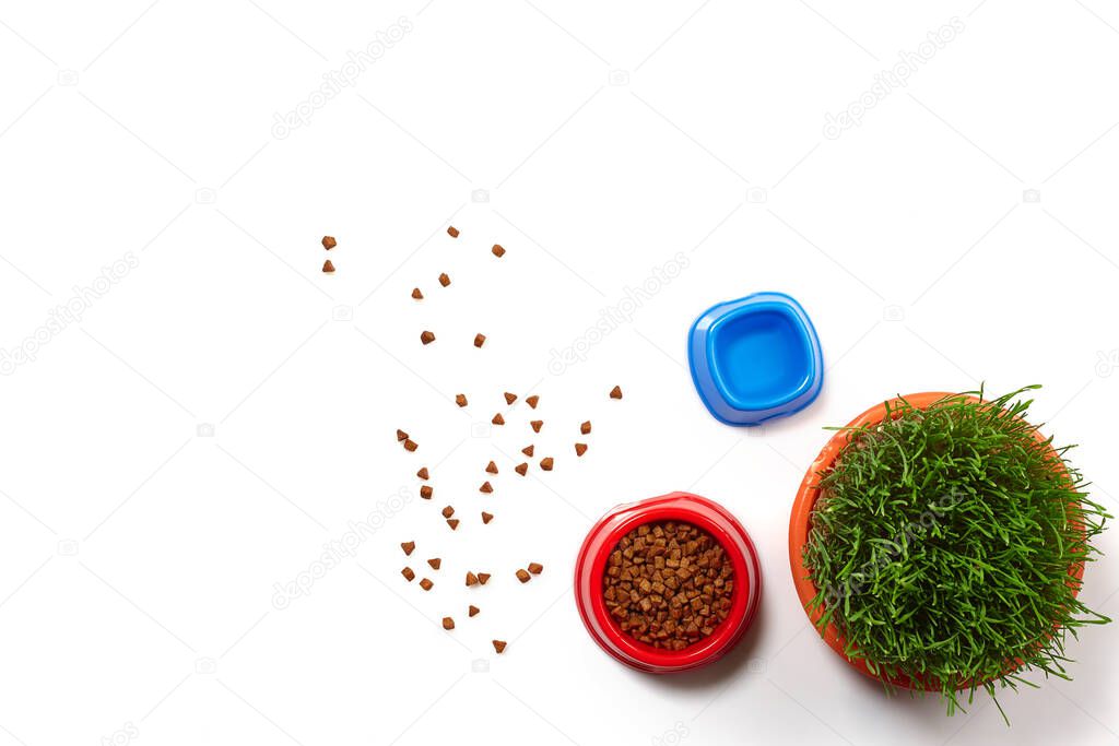 Flat lay composition with accessories for a cat, such as tasty dry food scattered around and water in a bowls and green grass isolated on white background. Pet care and feeding concept. Copy space