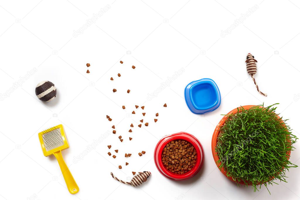 Flat lay composition with accessories for a cat, such as yummy dry food scattered around and water in a bowls, interesting toys as mouses and ball, yellow brush and green grass isolated on white