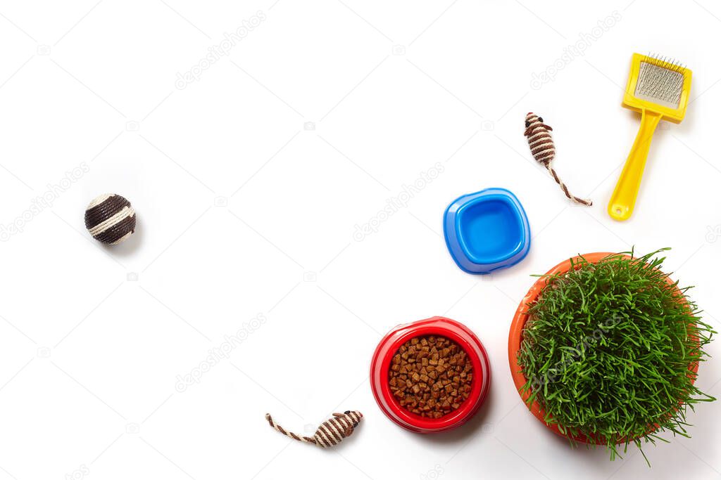 Flat lay composition with accessories for a cat, such as tasty dry food and water in a bowls, nice toys as mouses and ball, yellow brush and green grass isolated on white background. Pet care and
