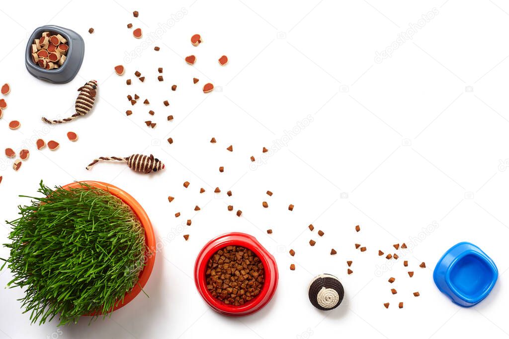 Flat lay composition with accessories for a cat, such as quality dry food and water in a bowls, interesting toys as mouses and ball and green grass isolated on white background. Pet care and feeding