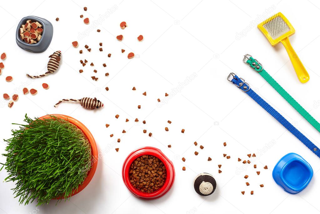 Flat lay composition with accessories for a cat, such as tasty dry food and water in a bowls, nice toys as mouses and ball, brush, leashes and green grass isolated on white background. Pet care and