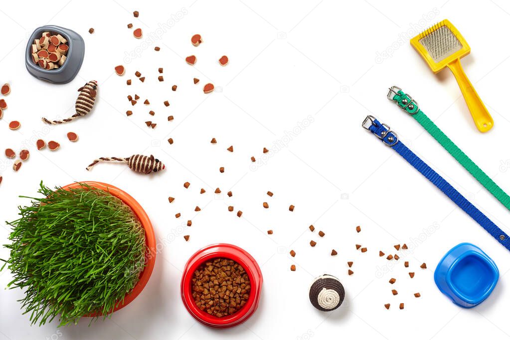 Flat lay composition with accessories for a cat, such as delicious dry food and water in a bowls, funny toys as mouses and ball, brush, leashes and green grass isolated on white background. Pet care