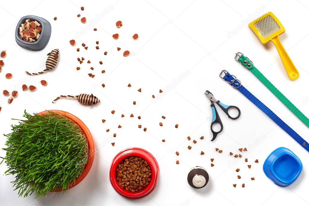 Flat lay composition with accessories for a cat, such as quality dry food and water in a bowls, ball, yellow brush, claw clippers, leashes and green grass isolated on white background. Pet care and