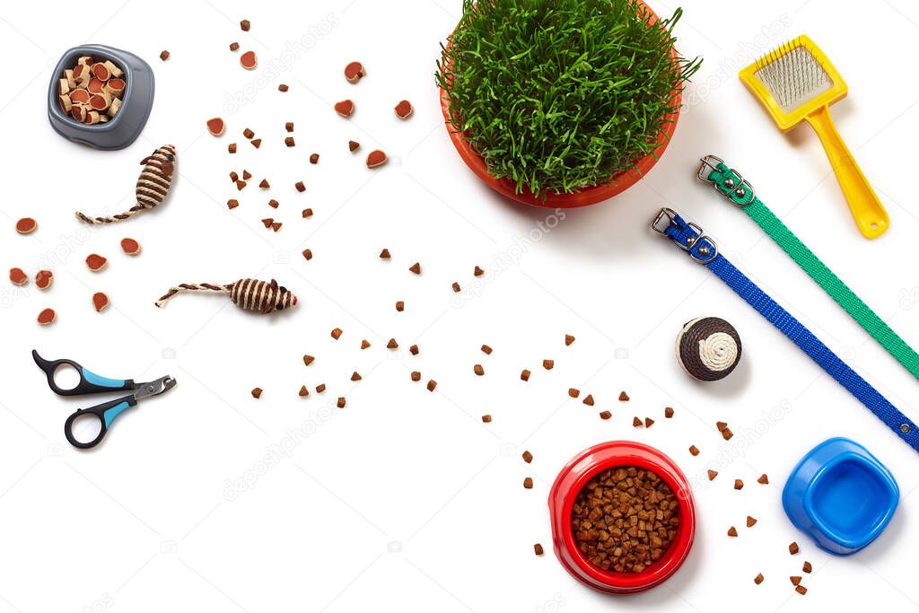 Flat lay composition with accessories for a cat, such as tasty dry food and water in a bowls, ball, brush, claw clippers, leashes and green grass isolated on white background. Pet care and feeding