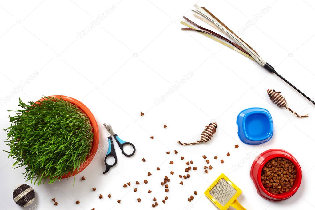 Flat lay composition with accessories for a cat, such as dry food and water in a bowls, toys as mouses and ball, brush, claw clippers, green grass and teaser isolated on white background. Pet care and