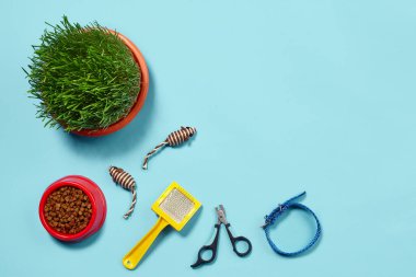 Flat lay composition with accessories for a cat, such as delicious dry food in a bowl, funny toys as mouses, green grass, yellow brush, claw clippers and collar on a blue background. Pet care and