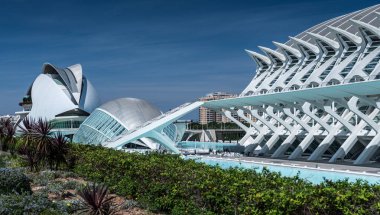 Santiago Calatrava 'dan Sanat ve Bilim Şehri, Valencia, İspanya
