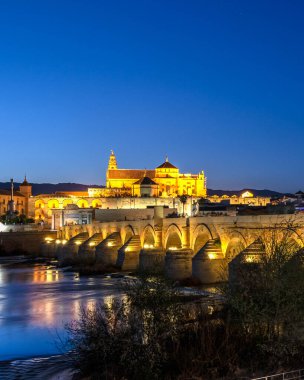 Panoramik Roma ile cami Katedrali'nde köprü Cordoba, İspanya