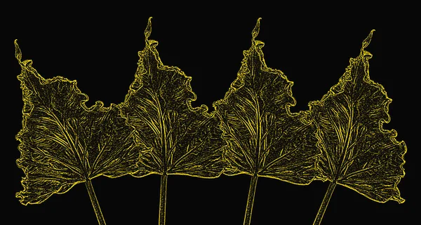 디자인의 배경에 황금빛 나뭇잎 그래픽 — 스톡 사진