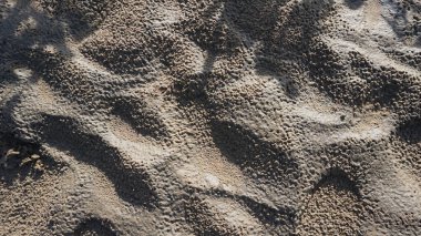 Arka plan ya da arka plan için güneş ışığına sahip güzel kaba kum dokusu. Bahçenin yanındaki nehir kıyısından alındı.