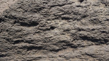 Doğal desenli siyah kabataslak doku, güneş ışığı arka plan ya da arka plan için parlar. Bahçenin yanındaki nehir kıyısından alındı.                               