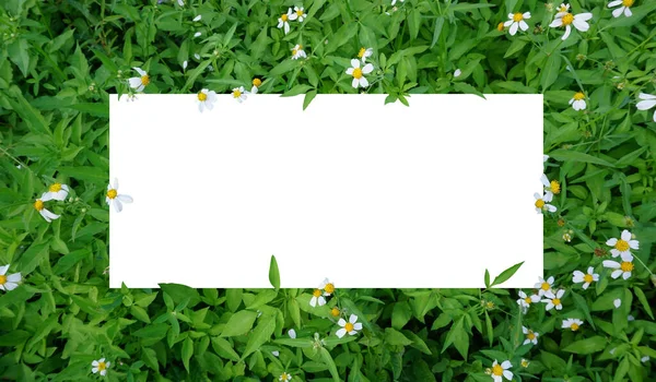 Doğal yeşil çiçekleri ve yaprakları olan yuvarlak beyaz çerçeve..