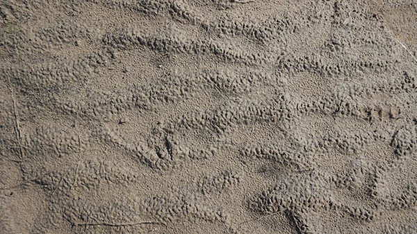 Bela Textura Natural Areia Grossa Com Luz Solar Para Fundo — Fotografia de Stock