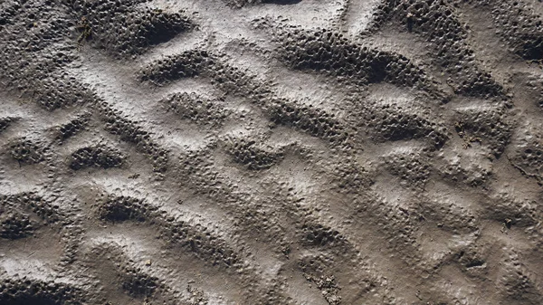 Prachtige Natuurlijke Golvende Zand Textuur Met Zonlicht Schijnt Door Voor — Stockfoto