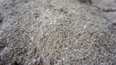 Arkaplan veya resimleme için pürüzlü kum dokusu