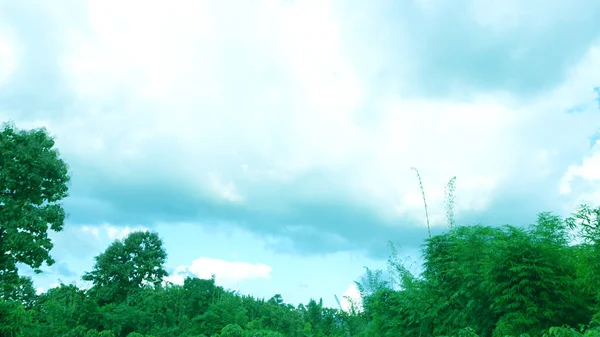 Der Blaue Himmel Hat Natürliche Weiße Wolken Auf Den Grünen — Stockfoto