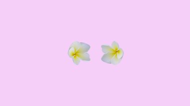 Bahçeden alınmış güzel doğal yeşil çimenler..