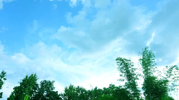 Der Blaue Himmel Hat Natürliche Weiße Wolken Auf Den Grünen — Stockfoto