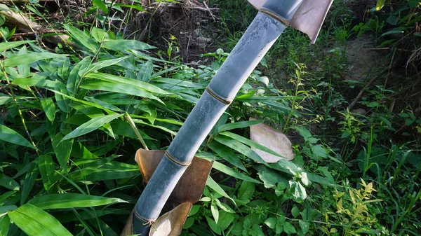 Inclinación Bambú Con Mancha Polvo Blanco Natural Tomada Del Jardín — Foto de Stock