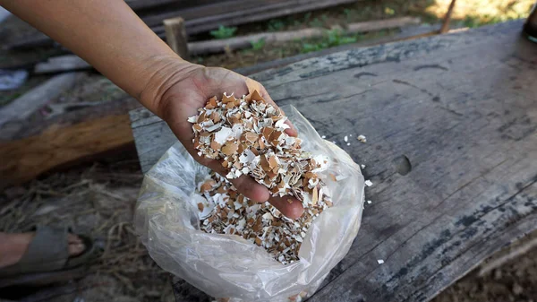 El tutuşu ezilmiş yumurta kabukları bahçe ekme delikleri açmak için.