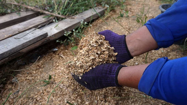 Bahçede gübre yapmak için el yapımı talaş tozu..