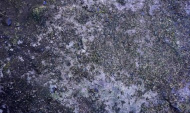 Sert beton yüzey evin yanındaki eski bir geçittir..