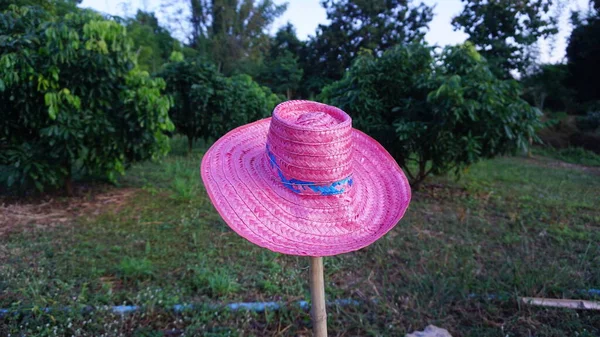 Pembe şapkalar işten sonra kazıklara takılır.