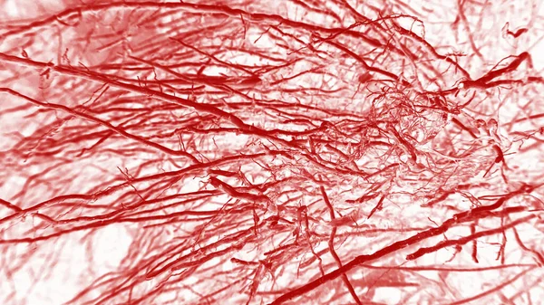 Texture Abstraite Blanche Avec Des Stries Rouges Pour Les Arrière — Photo