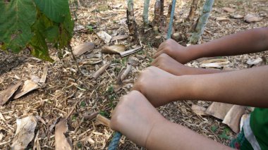 İpi tutan birçok kişi takım çalışmasında birlik ve işbirliğini temsil ediyor..