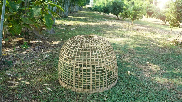 Mimbre Hecho Bambú Encuentra Medio Jardín Natural — Foto de Stock