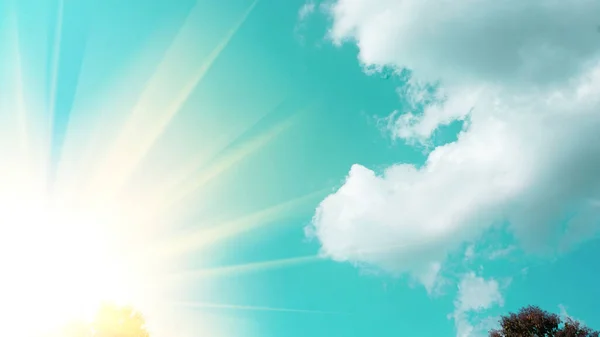 Blauwe Lucht Met Witte Wolken Met Licht Boomtoppen Natuurlijke Schoonheid — Stockfoto