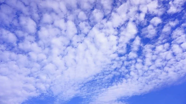 Blue Sky White Clouds Natural Sunlight Taken Garden — Stock Photo, Image