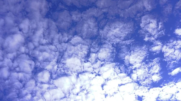 Blue Sky White Clouds Natural Sunlight Taken Garden — Stock Photo, Image