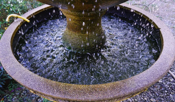 Water Droplets Pot Beautiful Natural Taken Temple House — Fotografia de Stock