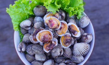 Boiled Scallops with Salad Seafood is high in iron, nourishing blood, low in calories, helping to lose weight and keeping healthy with clipping path.