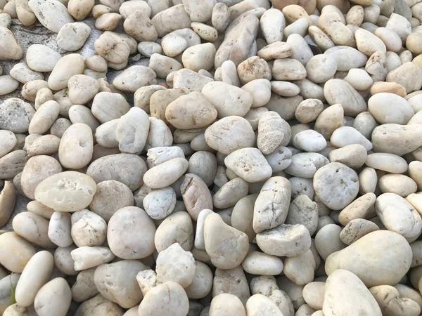 Beaux Cailloux Blancs Naturels Alignés Sur Plage Pour Fond Illustration — Photo