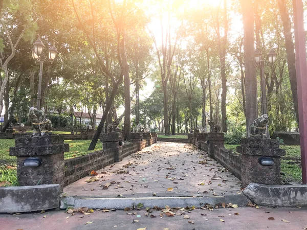 森の庭の公園のコンクリートの歩道は自然光によって美しく照らされています — ストック写真