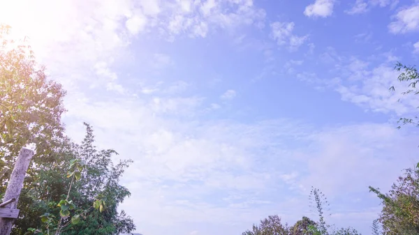 Blauer Himmel Weiße Wolken Mit Sonnenlicht Auf Grünen Baumkronen Sind — Stockfoto