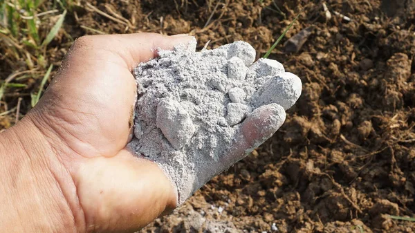 Les Agriculteurs Capturent Des Cendres Pour Compostage Afin Nourrir Les — Photo