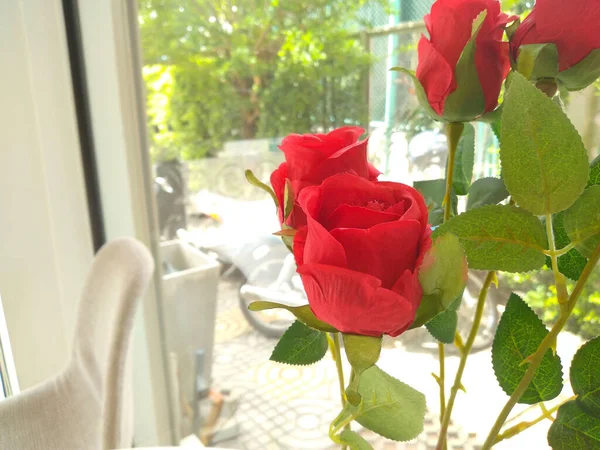Valentýn Červená Růže Láska Krásná Okrasná Rostlina Umístěna Úřadu Pro — Stock fotografie