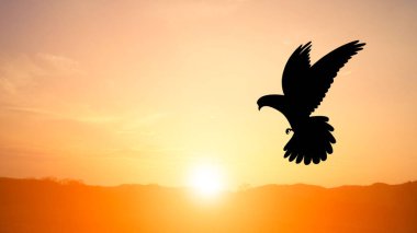 Gün batımında bir kuş uçuyor, dağın tepesindeki doğal altın güneş ışığı özgürlüğü ve özgürlüğü simgeliyor..