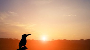 Akşam gökyüzü gün batımında altın güneş ışığıyla beyaz bulutlar yüksekteki dağlarda doğal olarak parlıyor..