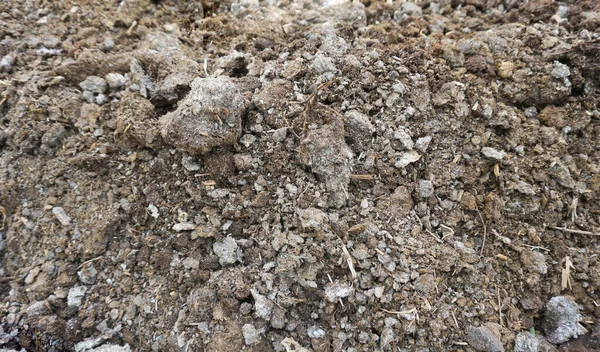 Cumuli Compost Sono Costituiti Sterco Mucca Materiale Nutrire Gli Alberi — Foto Stock