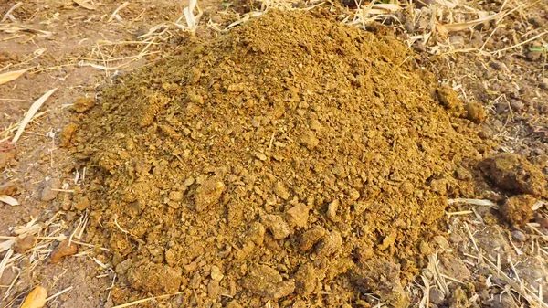 Una Pila Compost Hecha Estiércol Vaca Fertilizante Para Plantar Jardín — Foto de Stock