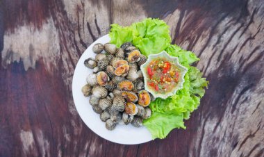 Tahta bir masadaki beyaz tabakta salatalı taze midyeler ve deniz ürünleri soslu yüksek proteinli deniz ürünleri sağlıklı bir yaşam için kanı besler. (2)