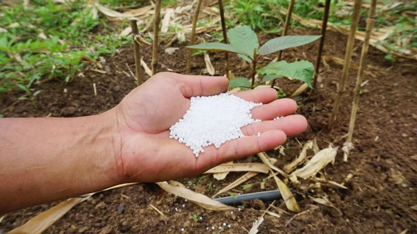 Beyaz kimyasal gübre tanecikleri, tarım bahçelerine ekilen bitkileri besleyen malzemeler..