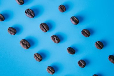 top view of coffee beans laid out in rows on a blue background