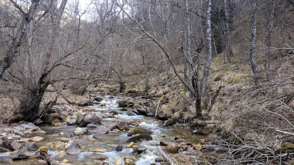 Река Камнями Грах Весной — стоковое фото