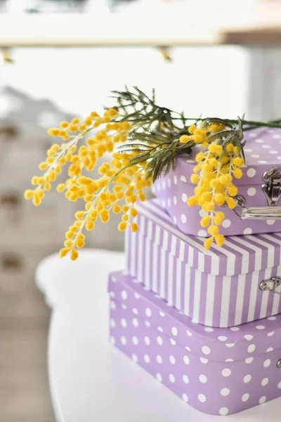 A lone branch of mimosa lies on three boxes. The boxes are purple. Mimosa has a bright yellow color
