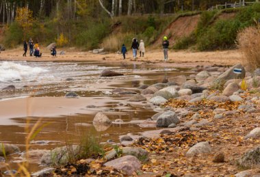 Baltık Denizi kıyılarında tatil yapan insanlar. Ekim, rüzgar ve deniz.